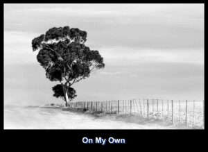 Tree 4 B & W