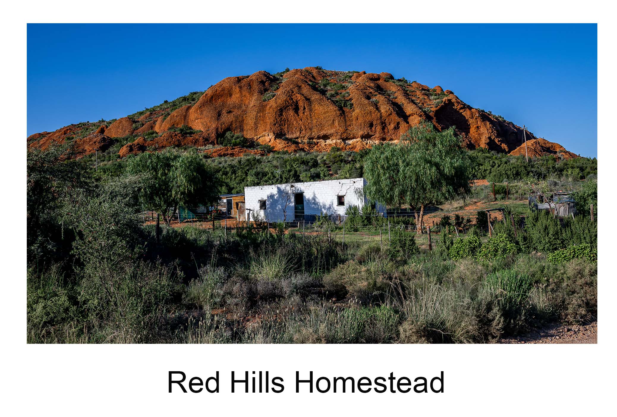 Red Hills Homestead