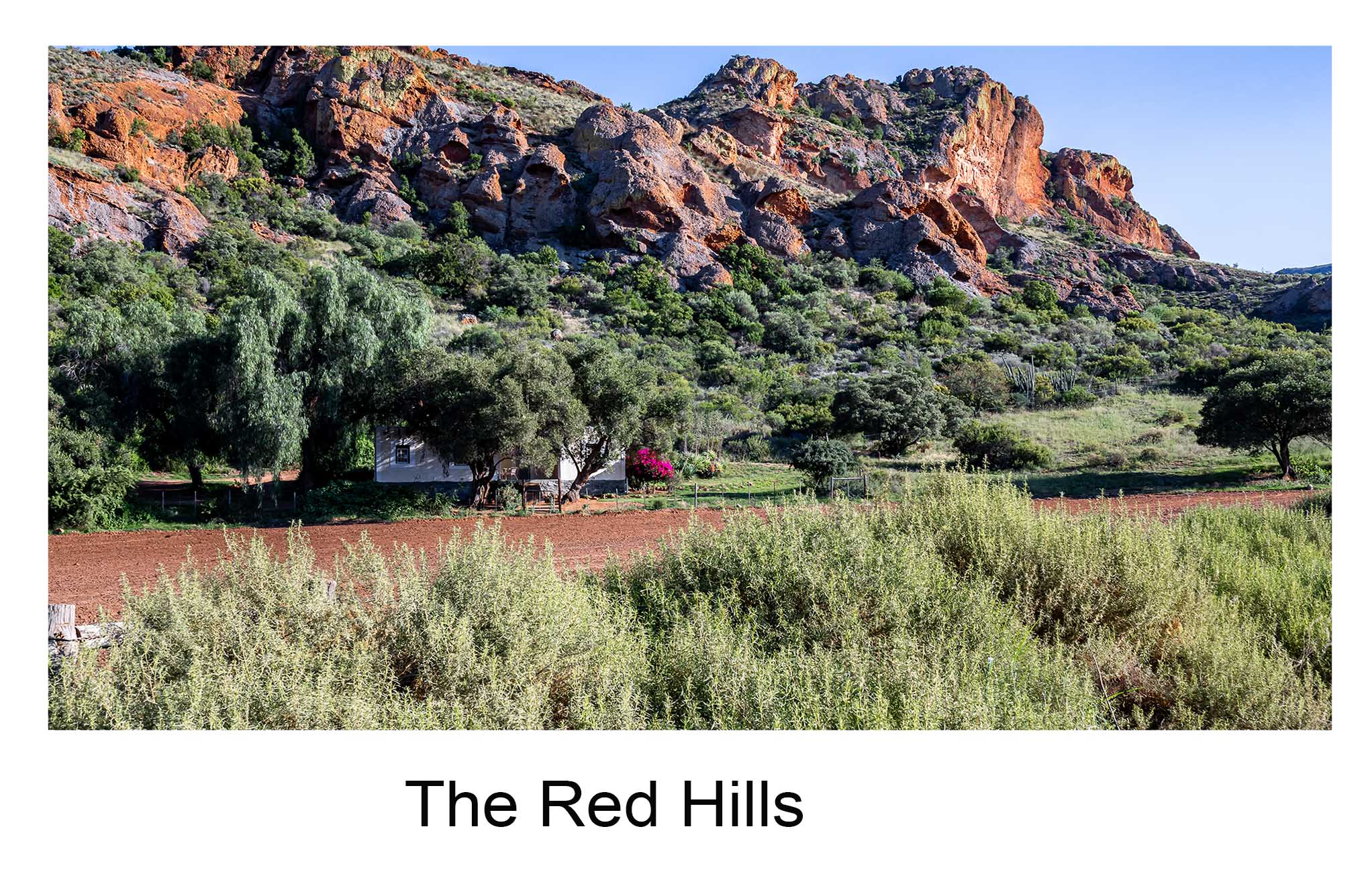 The Red Hills