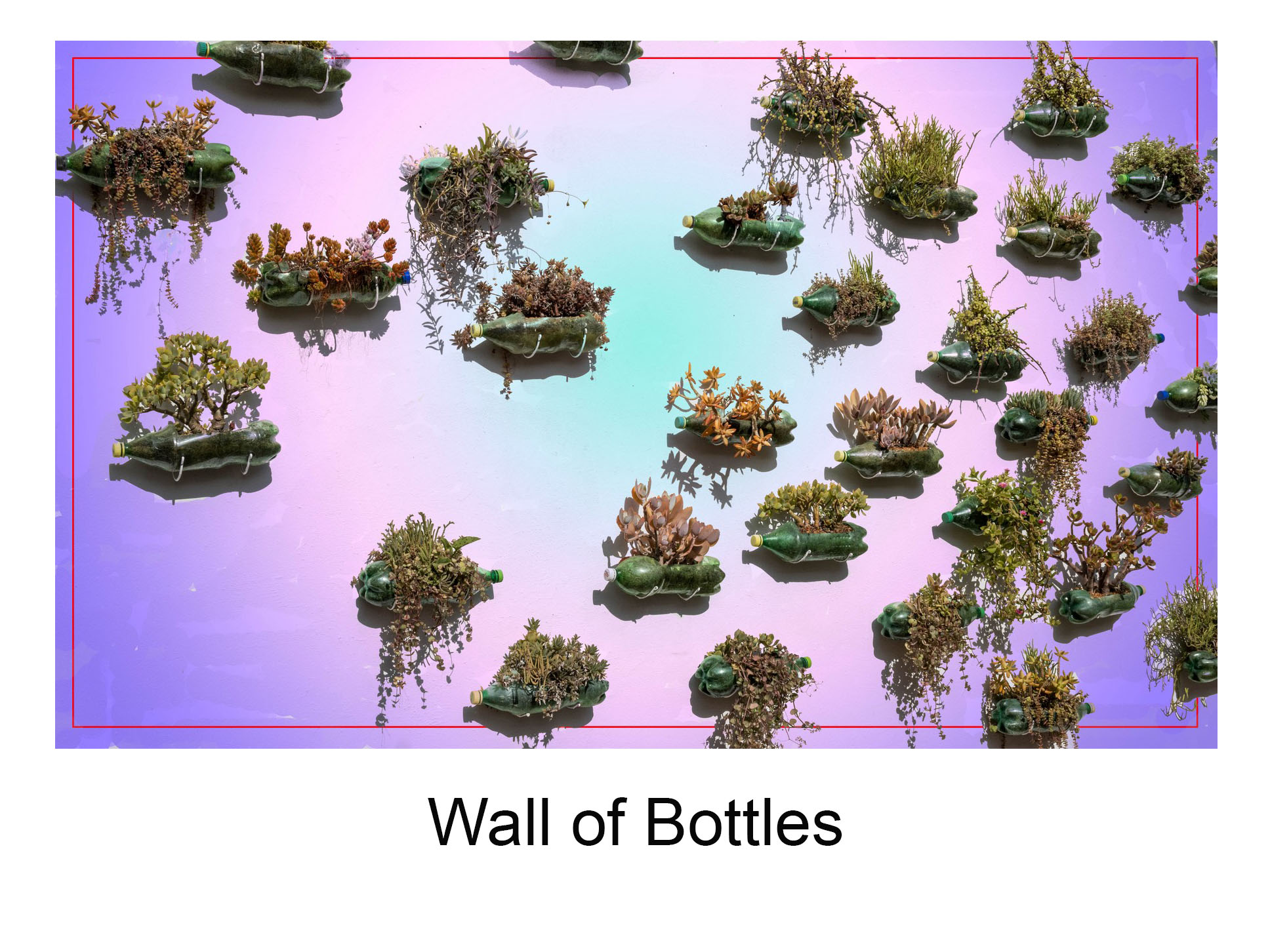 Wall of Bottles