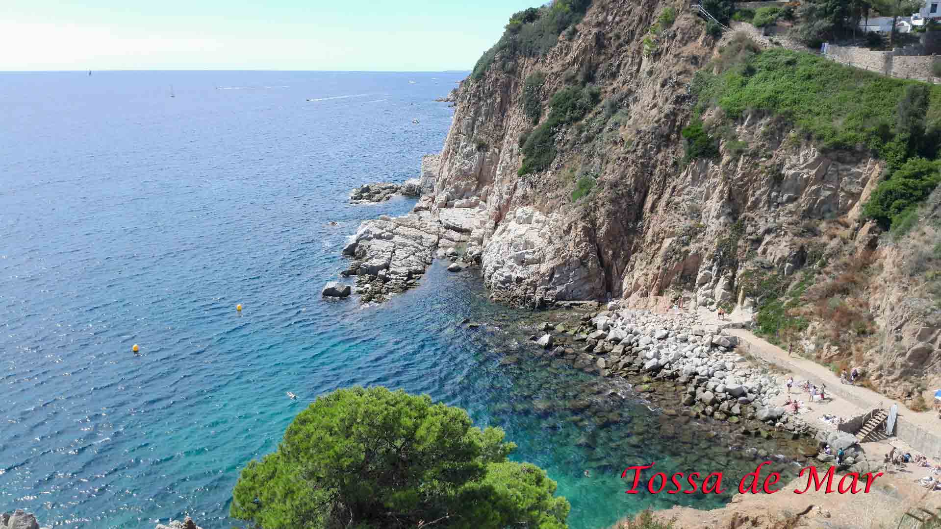Over the Med