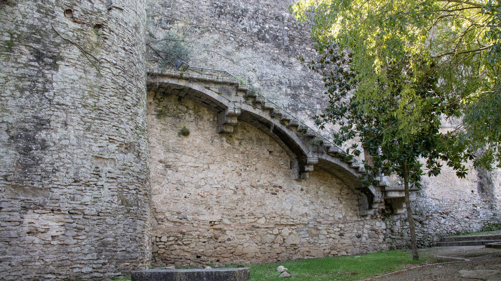 Image00017