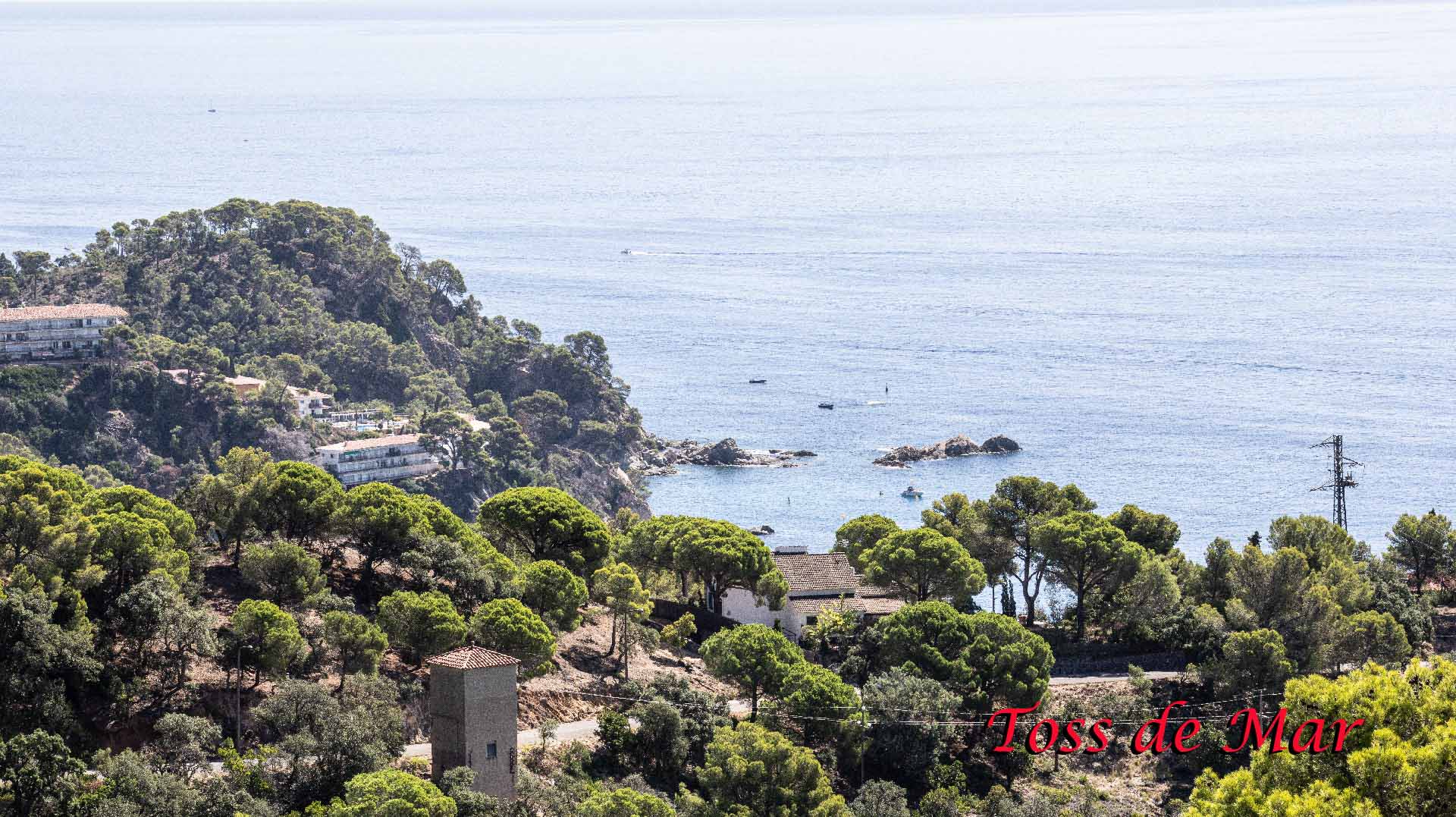Tosca de Mar