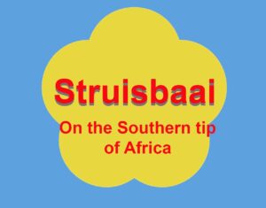 Struisbaai title