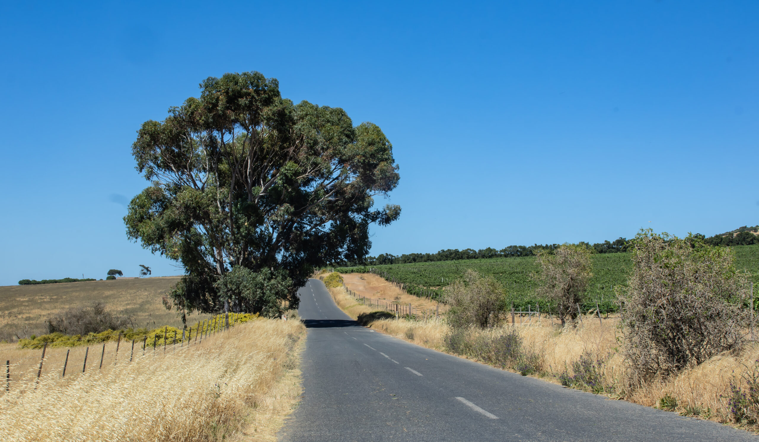 Country Road
